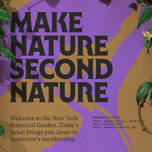 New York Botanical Garden