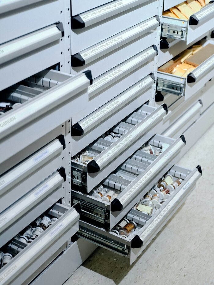 New York Botanical Garden 11