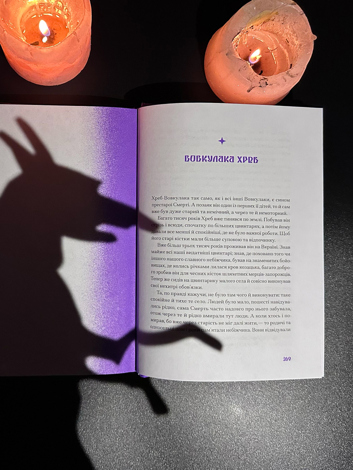 Purple Shadow by Anastasia Bidonko (ed.) 3