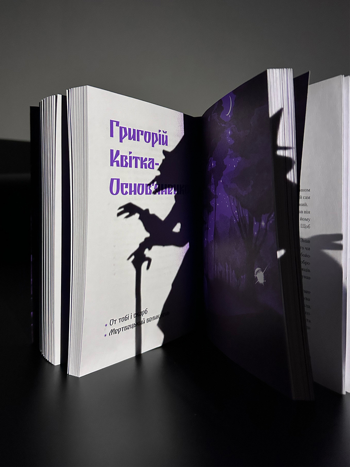 Purple Shadow by Anastasia Bidonko (ed.) 4