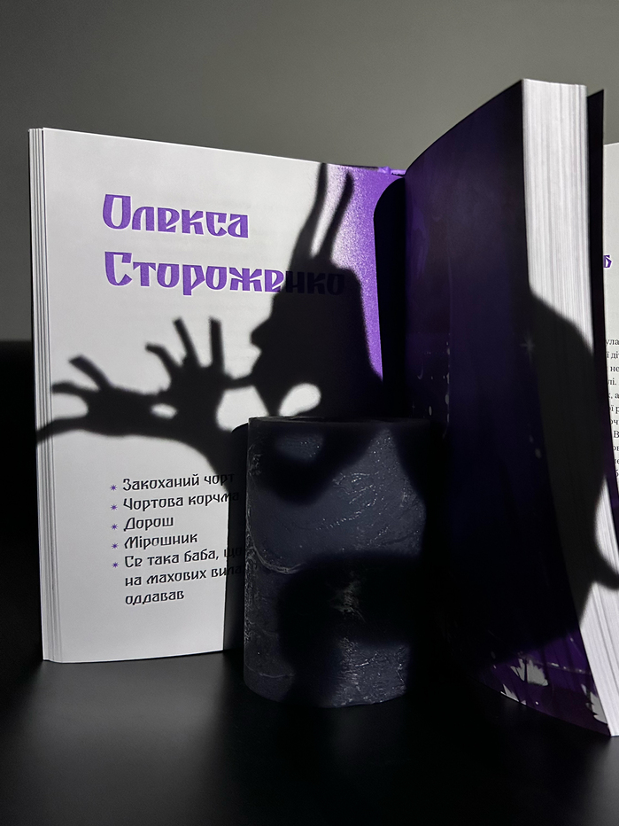 Purple Shadow by Anastasia Bidonko (ed.) 5