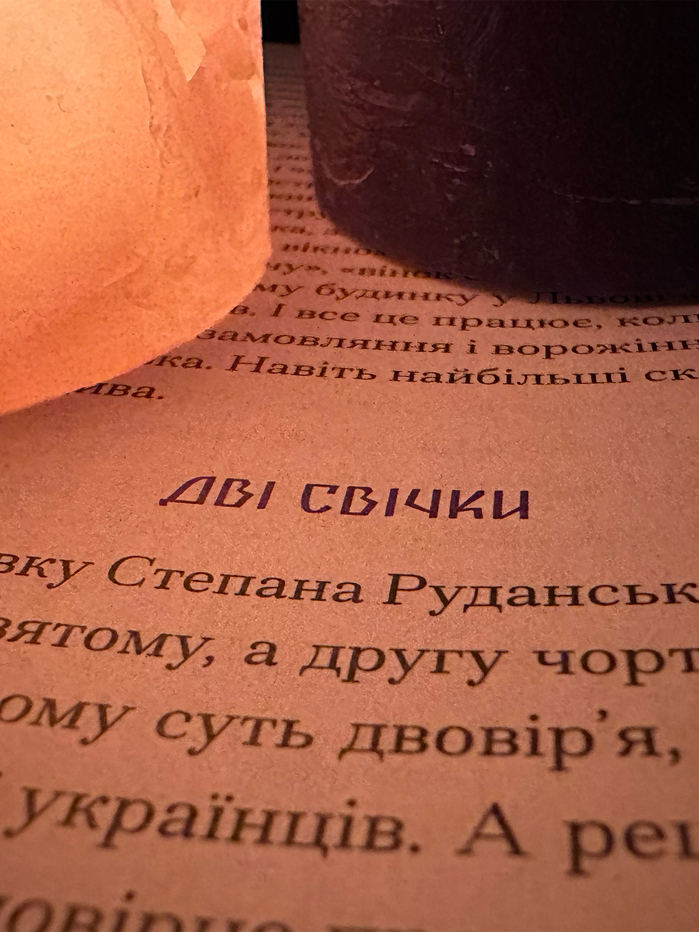 Purple Shadow by Anastasia Bidonko (ed.) 6