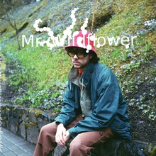 Mac MacLaren – <cite>Mr. Wildflower</cite> album art