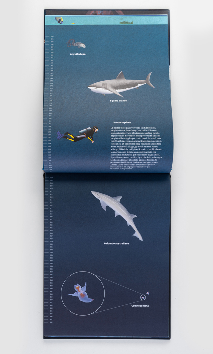 Giù nel blu by Gianumberto Accinelli and Giulia Zaffaroni 4