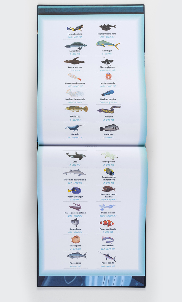 The final animal index