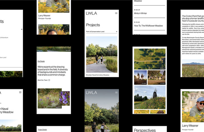 LWLA brand and website 6