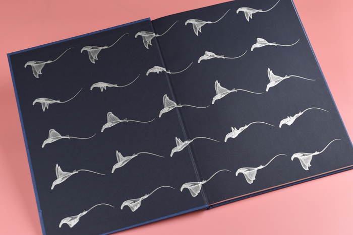 Auctus Animalis by Vincent Fournier &amp; Sebastian Gaxie 2