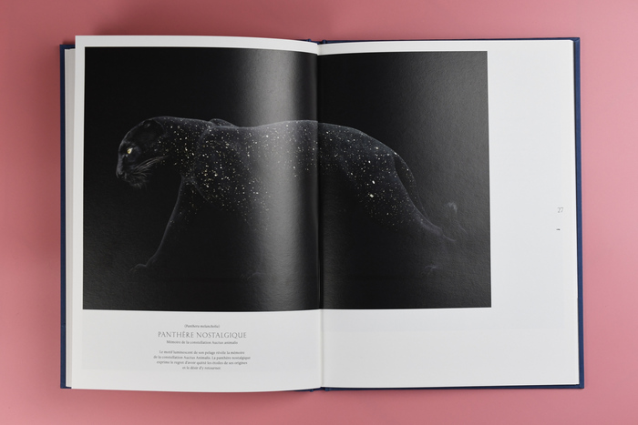 Auctus Animalis by Vincent Fournier &amp; Sebastian Gaxie 7