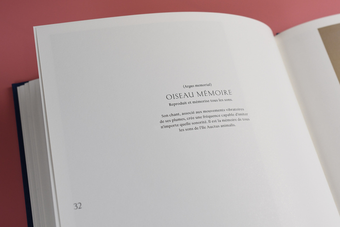 Auctus Animalis by Vincent Fournier &amp; Sebastian Gaxie 9