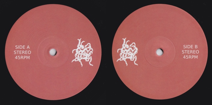 Record labels