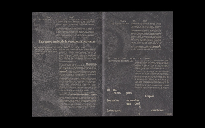 El Origen de la Noche / The Origin of Night 9