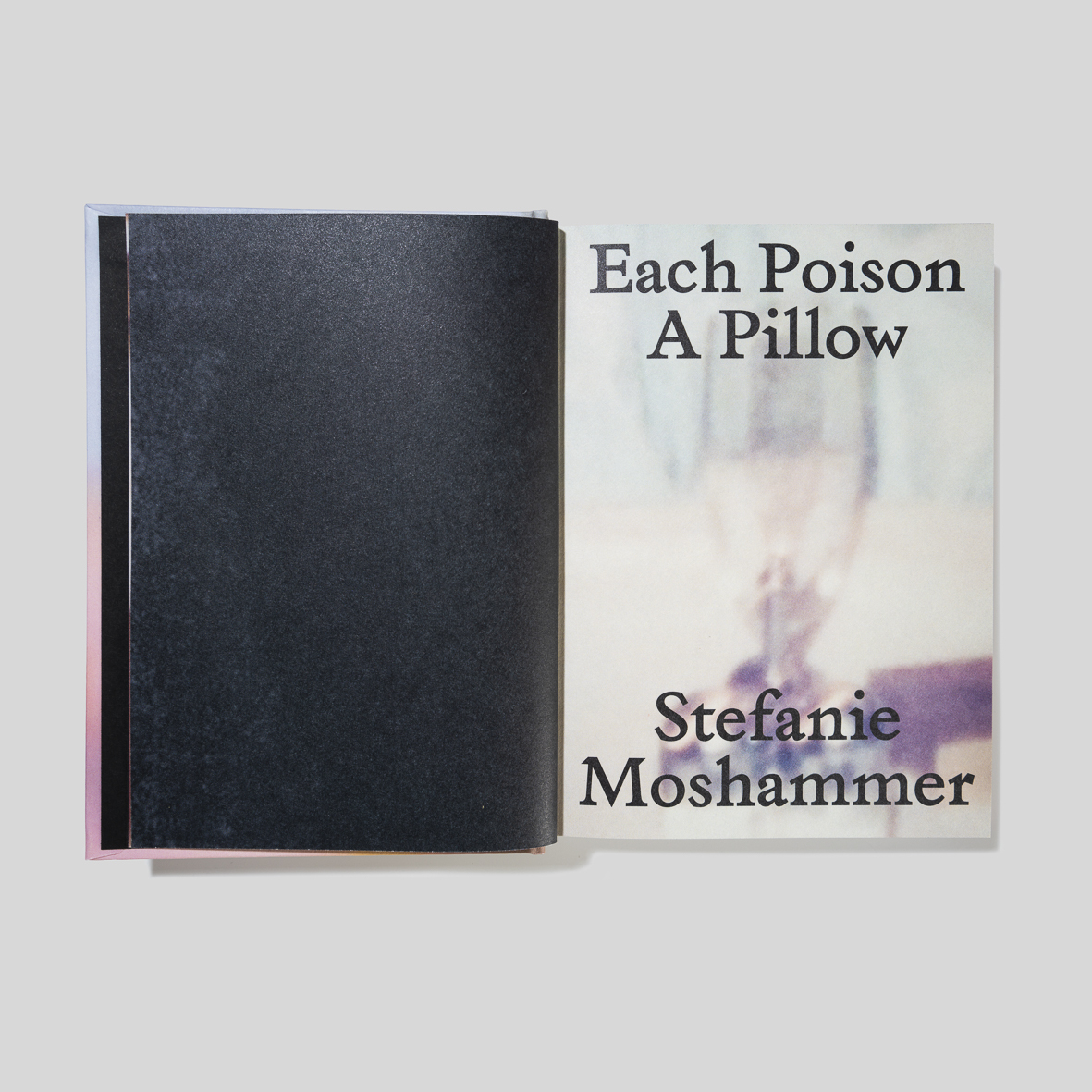 Each Poison, A Pillow by Stefanie Moshammer - Fonts In Use