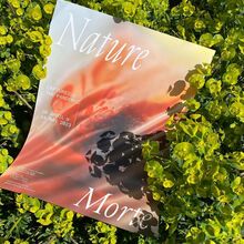 <cite>Nature Morte</cite>