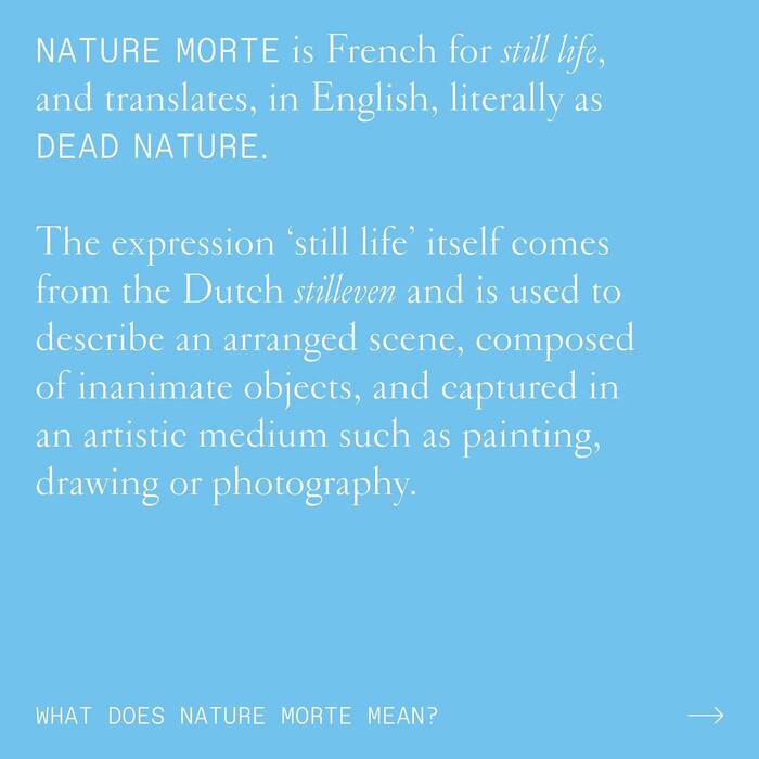 Nature Morte 5