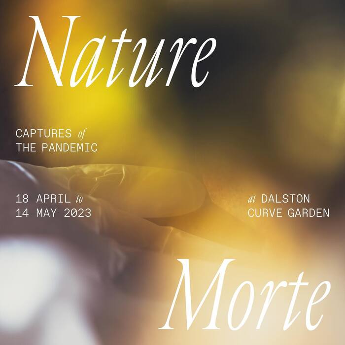 Nature Morte 6