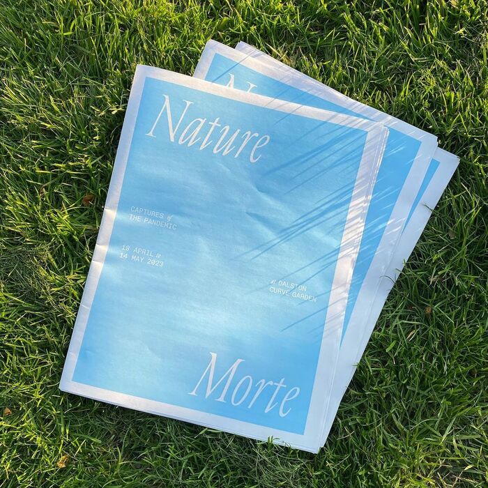 Nature Morte 7