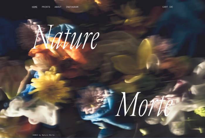 Website