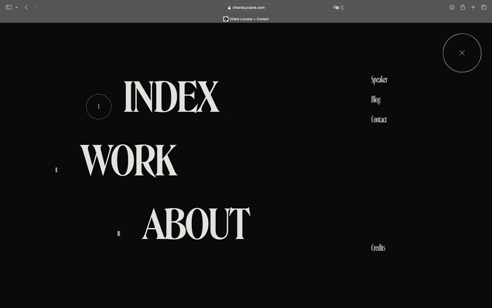 Chiara Luzzana website 5