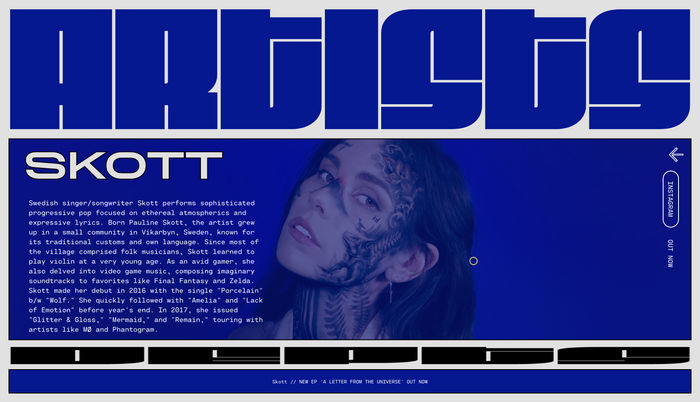 Safari Riot portfolio website 5