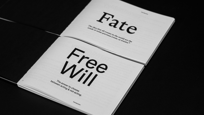 Fate &amp; Free Will 2