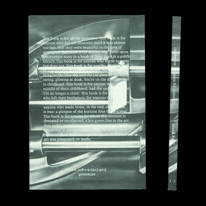 Incubation: a space for monsters by Bhanu Kapil 2