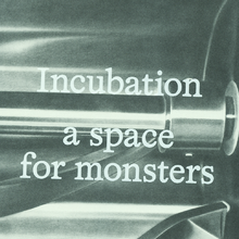 <cite>Incubation: a space for monsters</cite> by Bhanu Kapil