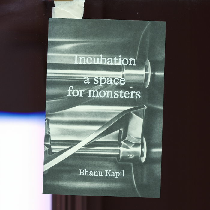 Incubation: a space for monsters by Bhanu Kapil 1