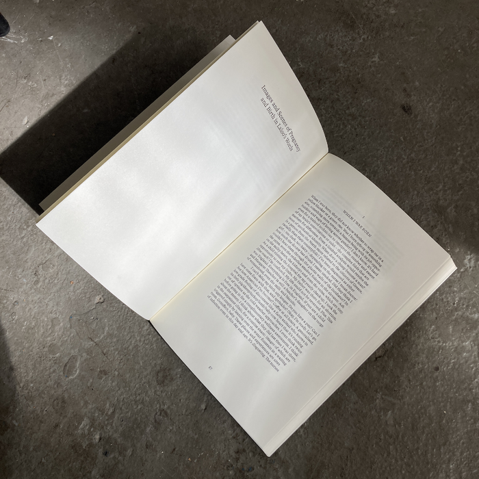 Incubation: a space for monsters by Bhanu Kapil 6
