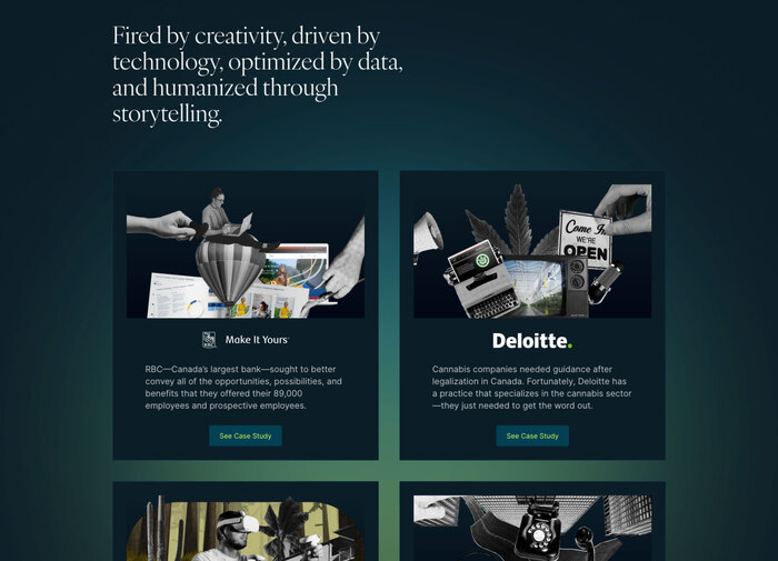Trove website 3