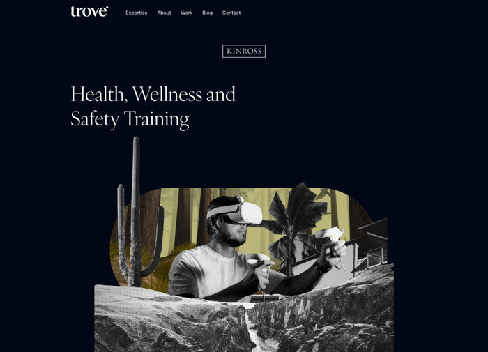 Trove website 4