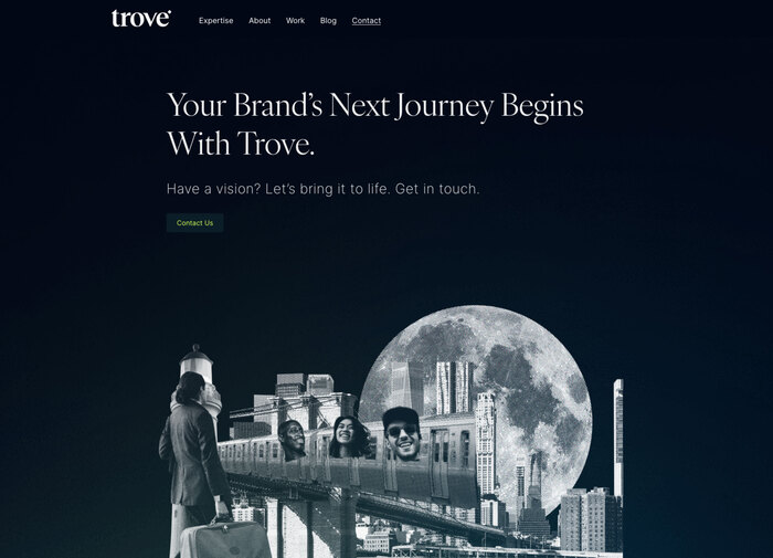 Trove website 6