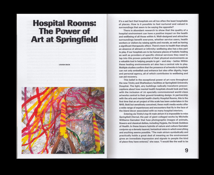 Hospital Rooms, Springfield Hospital Publication 6