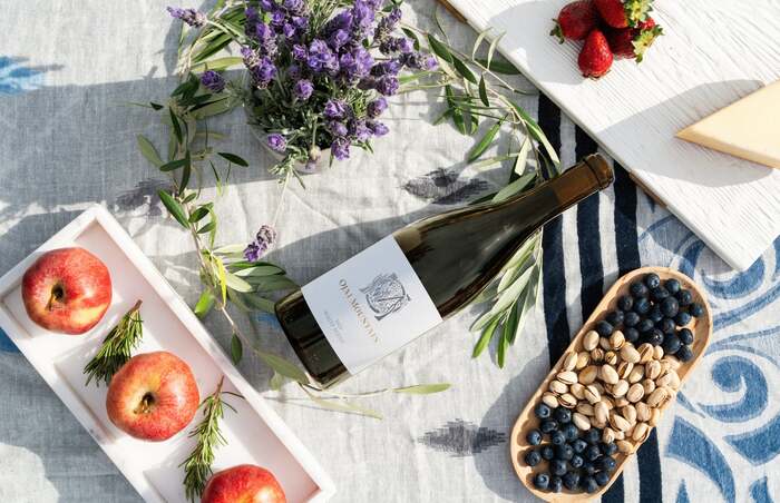 Ojai Mountain brand identity 1