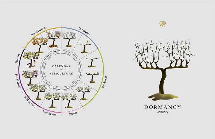 Ojai Mountain brand identity 6