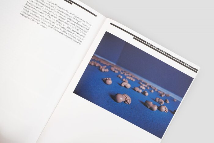 Vika Kirchenbauer: Works, Scripts, Essays 2012–2022 6