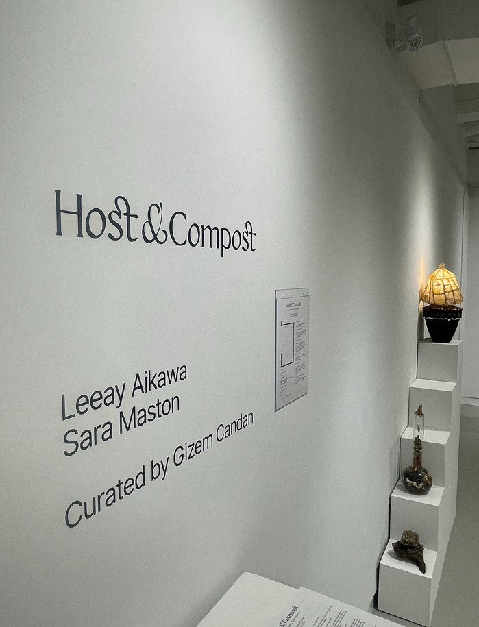 Host &amp; Compost art exhibition 5