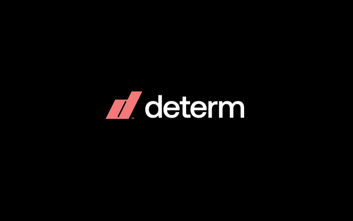 Determ branding 2