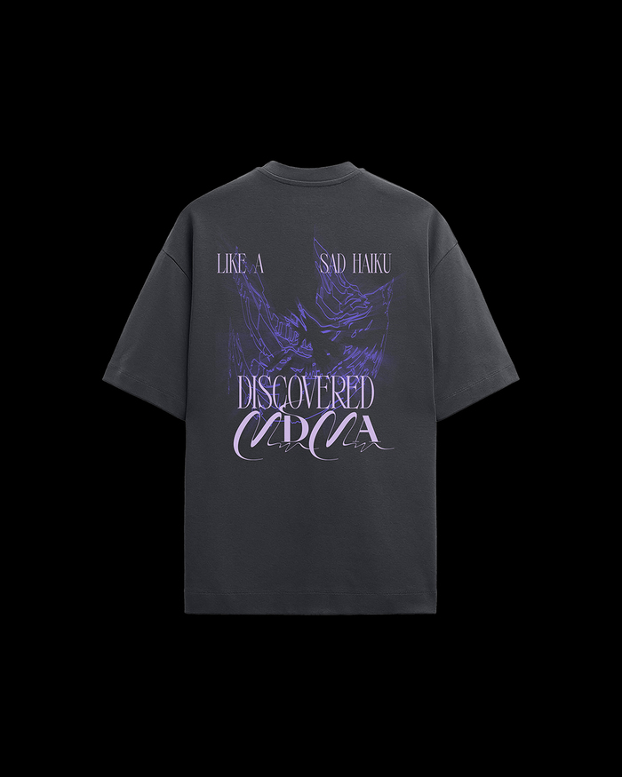Dillistone tour visuals 24/25 4