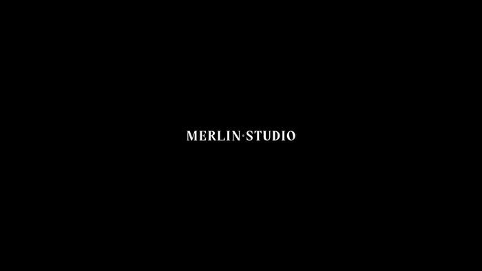 Merlin Studio website 3