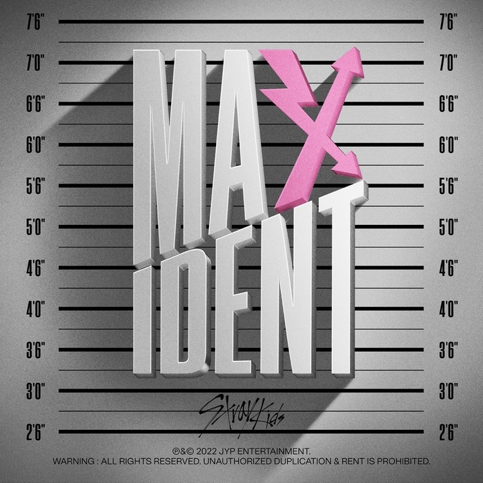 Digital cover for the album Maxident