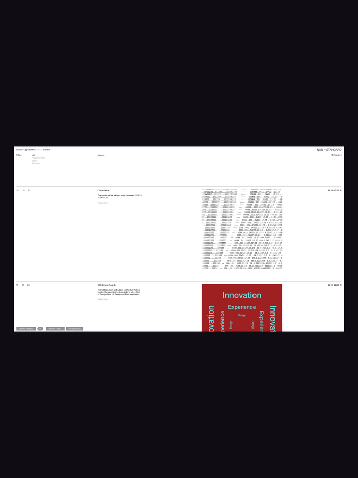NON — STANDARD identity and website 4