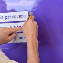 <cite>Natureza em três versos</cite>