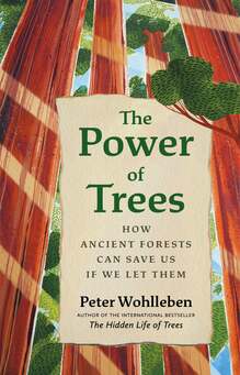 <cite>The Power of Trees</cite> by Peter Wohlleben