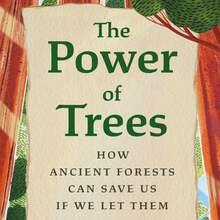 <cite>The Power of Trees</cite> by Peter Wohlleben
