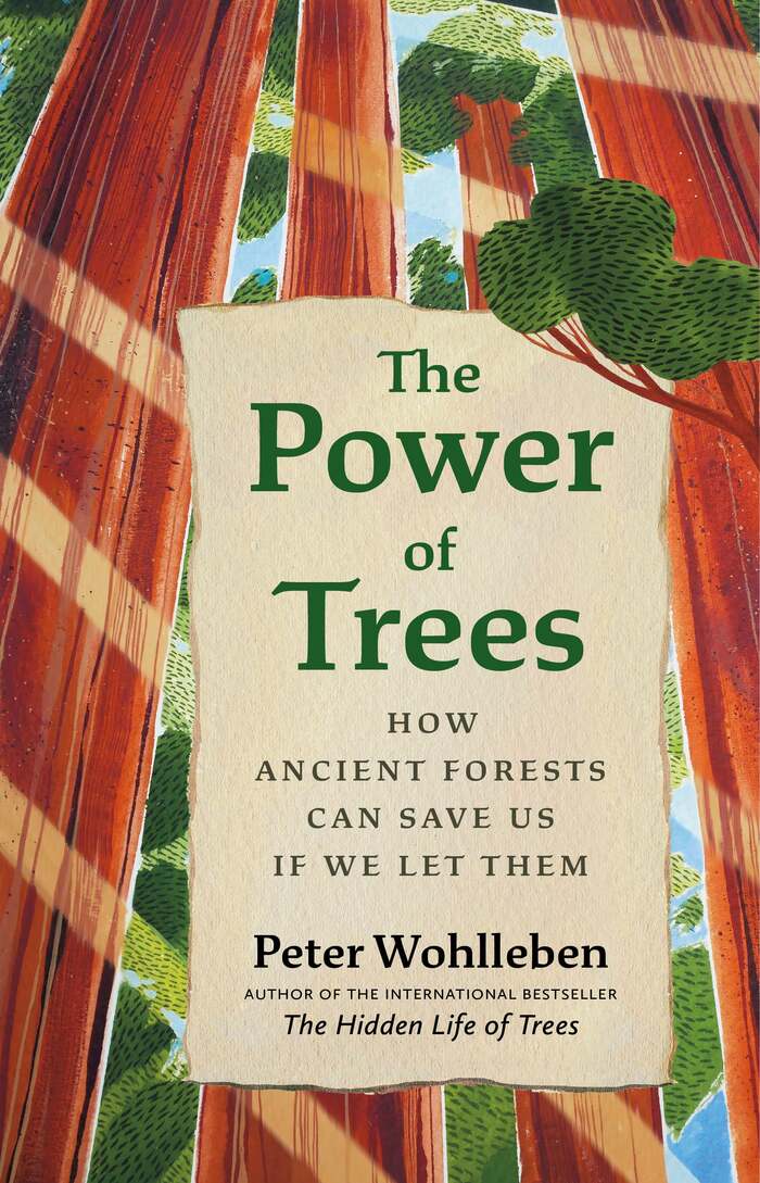 The Power of Trees by Peter Wohlleben 1