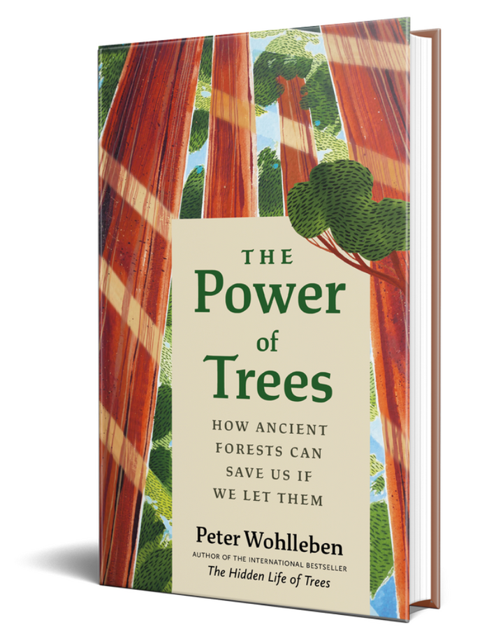 The Power of Trees by Peter Wohlleben 2