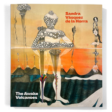 <cite>The Awake Volcanoes</cite> exhibition catalog