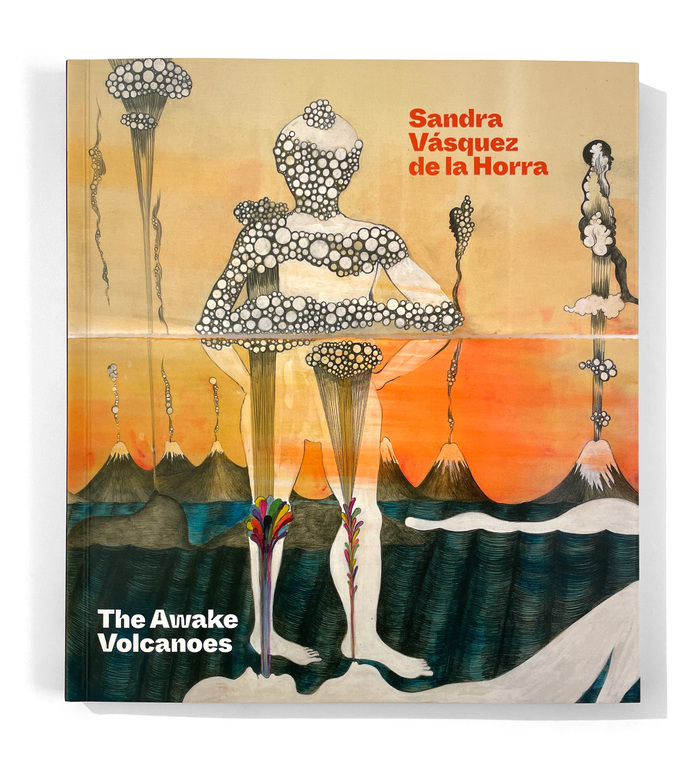 The Awake Volcanoes exhibition catalog 1