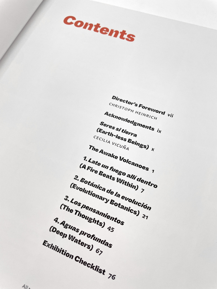 The Awake Volcanoes exhibition catalog 2