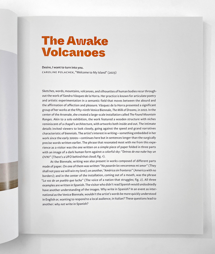The Awake Volcanoes exhibition catalog 3